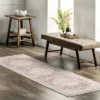 NuLOOM Rosa Machine Washable Distressed Vintage Medallion Area Rug -Safavieh Shop GUEST 10941b18 19fb 4dac 8d39 807b1bb3085c