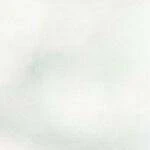 Regal Home Regal Home Collections Trellis Lattice Rod Pocket Valance