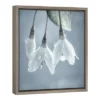 16" X 16" USA, Washington, Silverdale. Japanese Snowbell Tree Blossoms. Framed Canvas Wall Art - Amanti Art -Safavieh Shop GUEST 2b678651 b73a 45e6 afbb 927464d9a30b