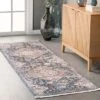 NuLOOM Addison Transitional Faded Medallion Fringe Area Rug -Safavieh Shop GUEST 40d74aff 3b8f 4bc3 aa77 49a1b42408e0