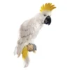 Design Toscano Sulphur-Crested Cockatoo Wall Sculpture -Safavieh Shop GUEST b3f698a7 04a2 454c abac 2ce686a6348e