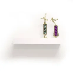 24" Floating Shelf With Lip For Kids' Room White - InPlace -Safavieh Shop GUEST bf63d7c6 def8 4c76 b80f dbc202516bf4