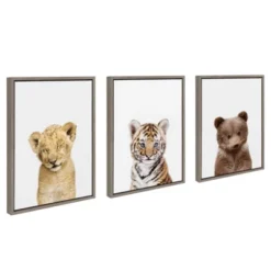 3pc Sylvie Lions And Tigers And Bears Framed Wall Canvases By Amy Peterson Gray - Kate & Laurel All Things Decor