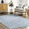 NuLOOM Mitzi Abstract Lines Machine Washable Area Rug -Safavieh Shop GUEST d2372b5b a800 4a39 9d33 e3d6c081a2cd
